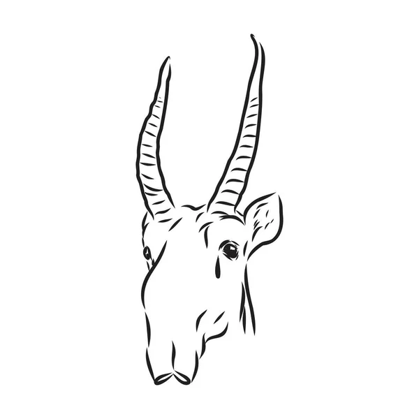 Векторний силует Сайга на білому фоні вектор тварини Сайга — стоковий вектор