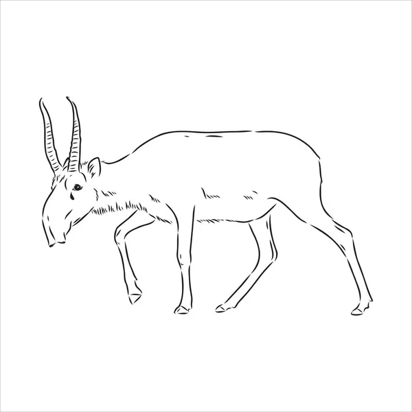 Vektor Silhouette Saiga auf weißem Hintergrund Saiga Tier Vektor — Stockvektor