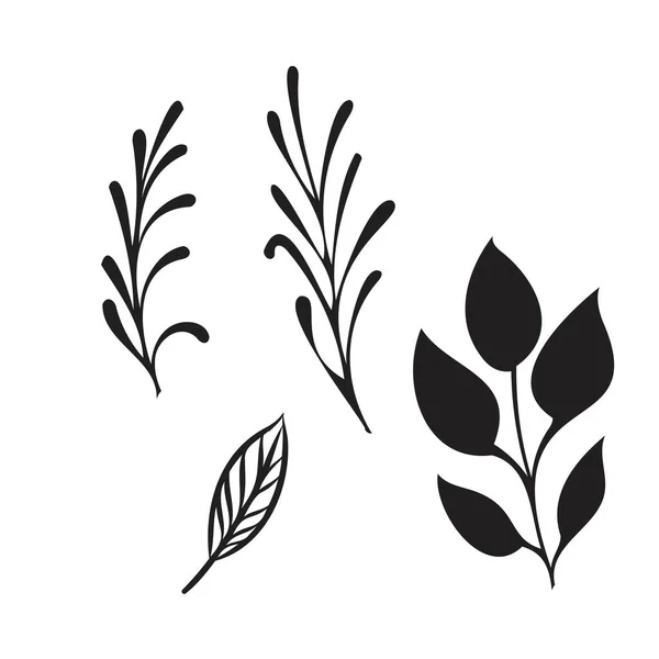 Рука намальовані гілки дерева з набором листя — стоковий вектор