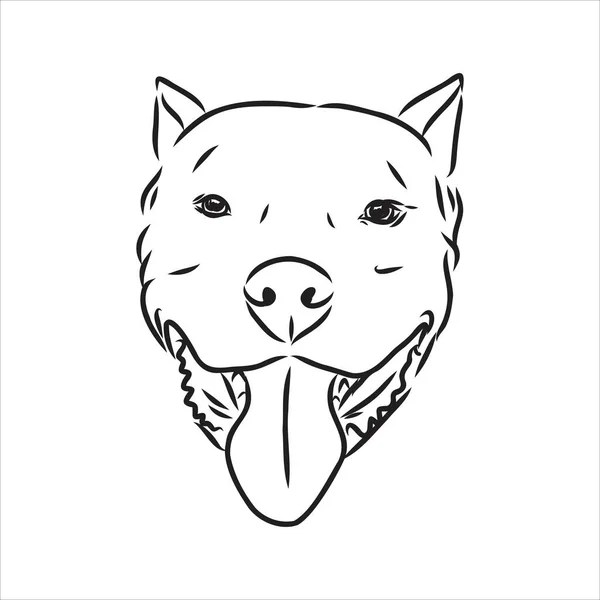 Wektor szkic rysunek pitbull szczekanie pit bull terrier pies wektor — Wektor stockowy