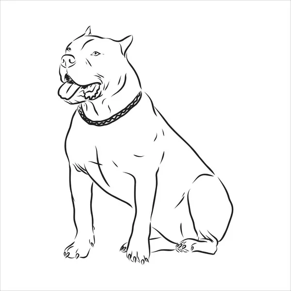 Vektor vázlat rajz pitbull ugató pitbull terrier kutya vektor — Stock Vector
