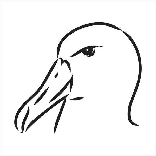Чайка Albatross птах в польоті з відкритими крилами ескізний вектор графіка чорно-білий малюнок — стоковий вектор