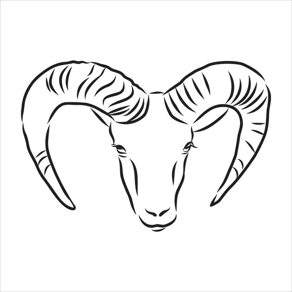 Velký kozí rohy šroubované tvar zezadu, skica vektorové kreslení v grafickém stylu na bílém pozadí — Stockový vektor
