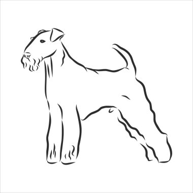 Airedale Teriyer Köpeği. El çizimi. Vektör illüstrasyonu
