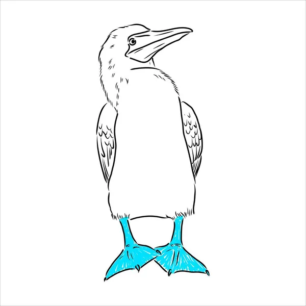El dibujo de la línea booby de patas azules. Ilustración en blanco y negro. Vector. — Archivo Imágenes Vectoriales