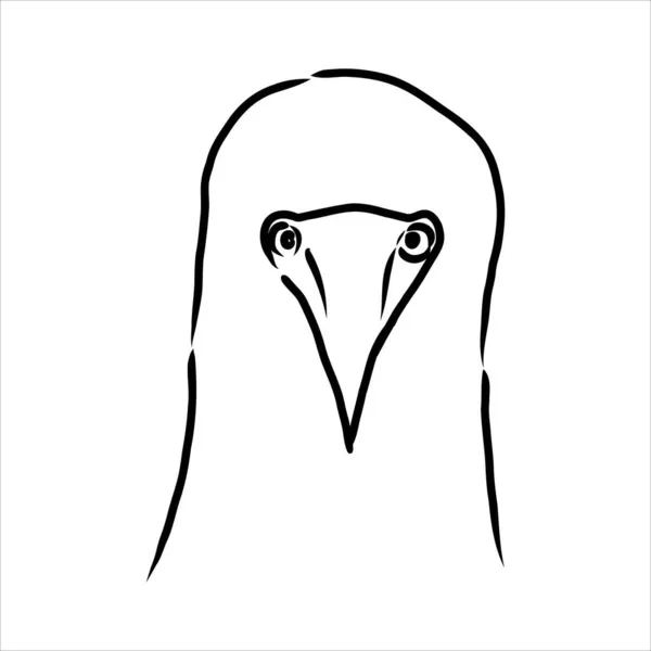 El dibujo de la línea booby de patas azules. Ilustración en blanco y negro. Vector. — Vector de stock