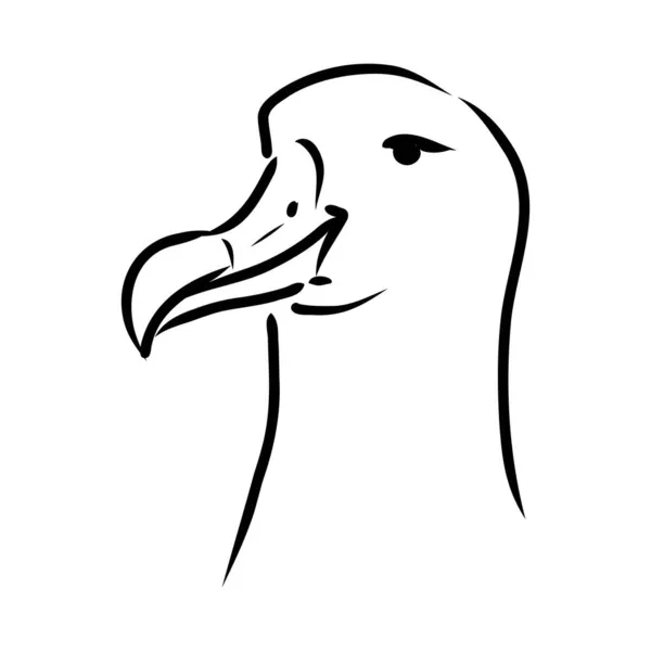 Möwe Albatrossvogel im Flug mit offenen Flügeln Skizze Vektorgrafik Schwarz-Weiß-Zeichnung — Stockvektor