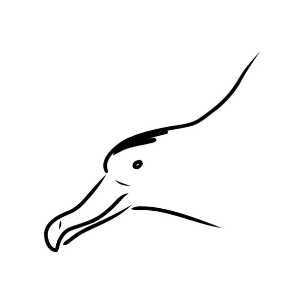 Mewa Albatross ptak w locie z otwartymi skrzydłami szkic wektor grafika czarno-biały rysunek — Wektor stockowy
