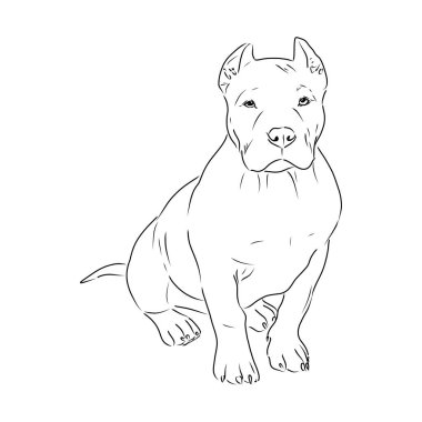 Robot resmini köpek çukur boğa korkunç. Vektör çizim