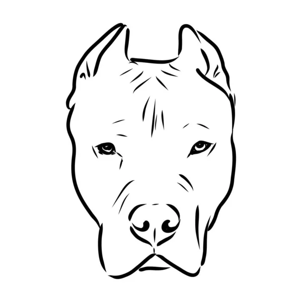 Sketch of Dog Pit bull terrier. Vector Illustration — Stock Vector