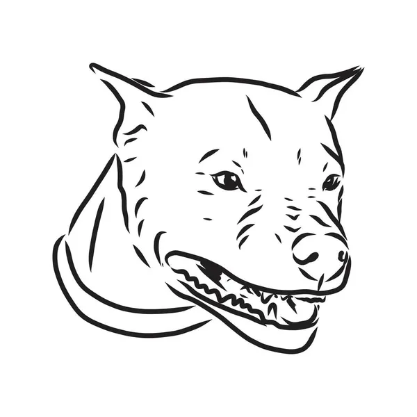 Esboço de Dog Pit bull terrier. Ilustração vetorial — Vetor de Stock