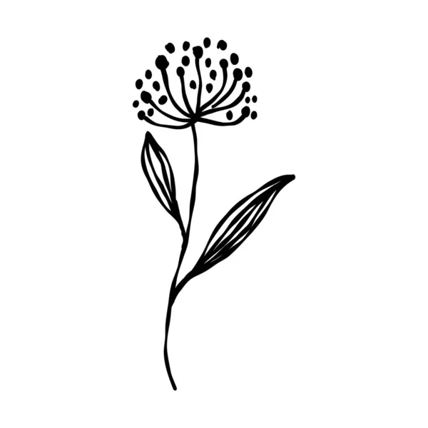 Fantasme de fleurs. fantaisie abstraite fleur vecteur llustration — Image vectorielle