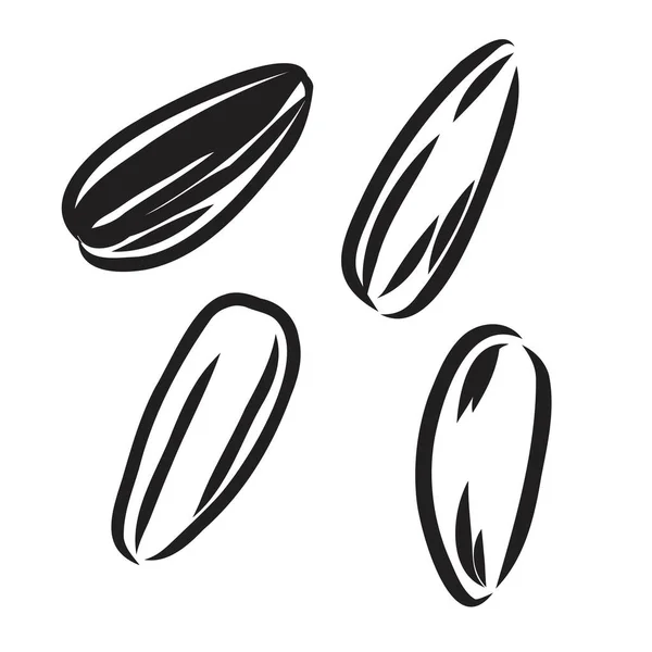 Graine de tournesol isolée sur fond blanc. Croquis dessiné à la main. Illustration vectorielle. — Image vectorielle