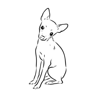 köpek Rus oyuncak korkunç el çizilmiş vektör llustration gerçekçi kroki