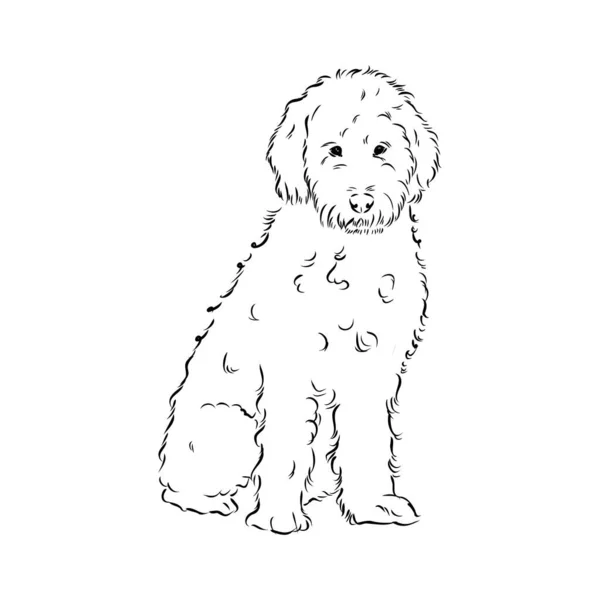 Xooodle Mix chien - illustration vectorielle isolée sur fond blanc — Image vectorielle