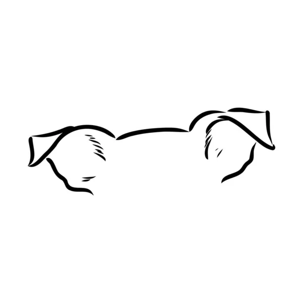 Simple dog. Vector illustration. dog ears vector sketch — Stockvektor