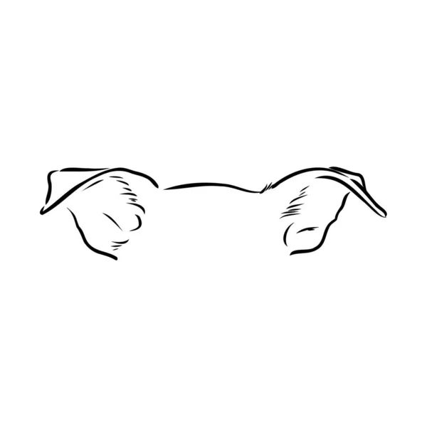 Simple dog. Vector illustration. dog ears vector sketch — 图库矢量图片