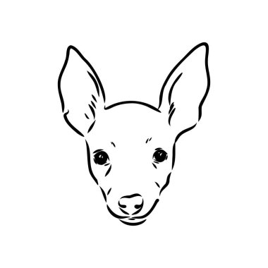 köpek Rus oyuncak korkunç el çizilmiş vektör llustration gerçekçi kroki