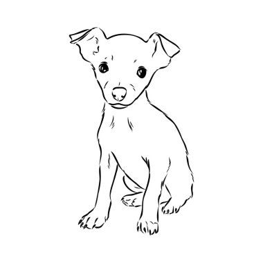 köpek Rus oyuncak korkunç el çizilmiş vektör llustration gerçekçi kroki