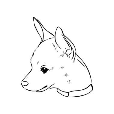 köpek Rus oyuncak korkunç el çizilmiş vektör llustration gerçekçi kroki