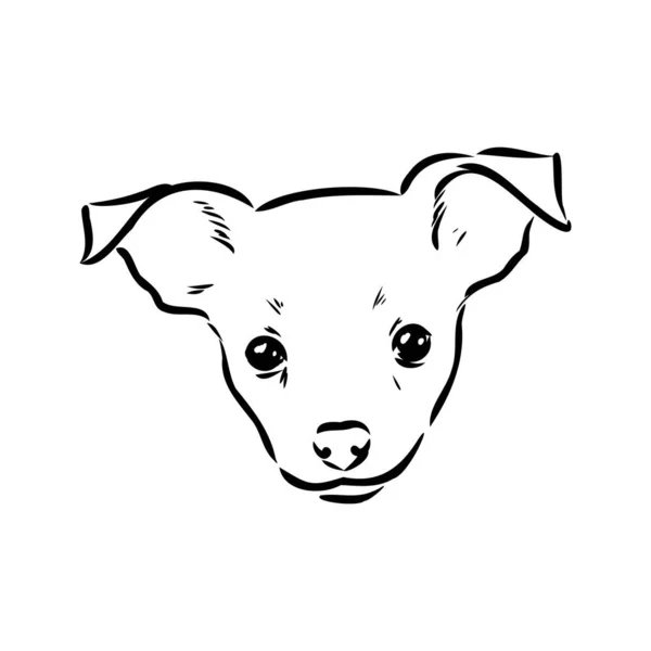 Köpek Rus oyuncak korkunç el çizilmiş vektör llustration gerçekçi kroki — Stok Vektör