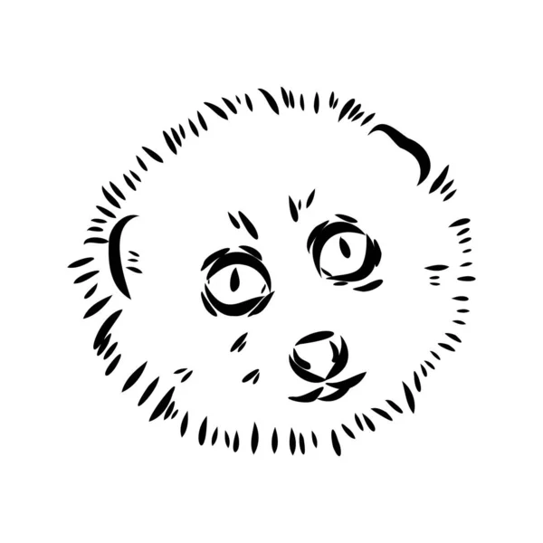 Lemur Loris op een boom vector illustratie, hand getekende schets, zwart-wit. Inkt pen cute Lori Chinees dier zittend op een boom. — Stockvector