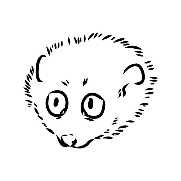 Lemur Loris en una ilustración de vectores de árboles, boceto dibujado a mano, blanco y negro. Pluma de tinta lindo lori animal chino sentado en un árbol . — Archivo Imágenes Vectoriales