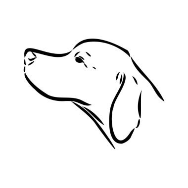 Köpek eli çizilmiş. İşaretçi. Vektör çizimi izole edildi