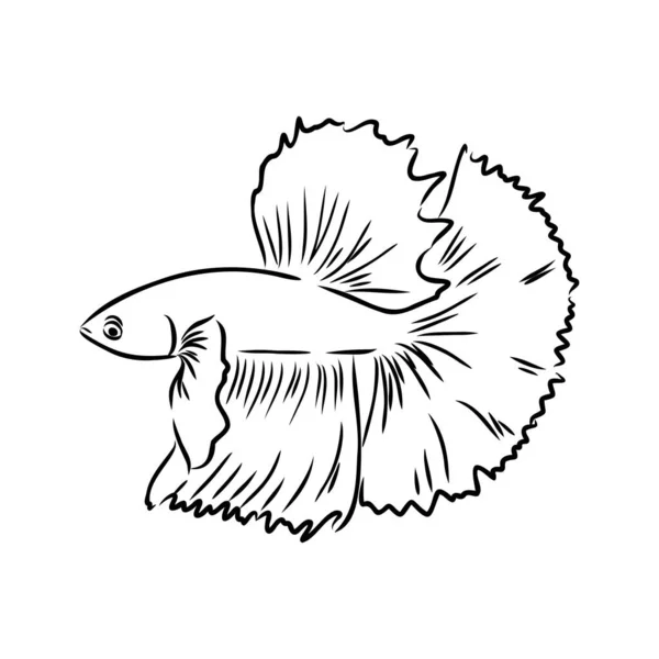 Peces de colores, dibujo a mano, ilustración vectorial aislado sobre fondo blanco acuario peces vector — Vector de stock