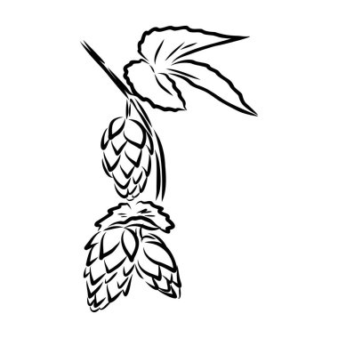 Oymacılık tarzında bira seksinin bir örneği. Poster, etiket, imza, amblem, menü için tasarım ögesi. Vektör illüstrasyonu