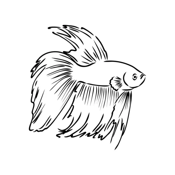 Золотые рыбки, ручной рисунок, векторная иллюстрация на белом фоне — стоковый вектор