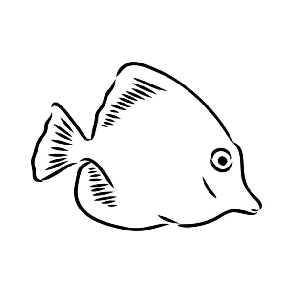 Золотые рыбки, ручной рисунок, векторная иллюстрация на белом фоне — стоковый вектор