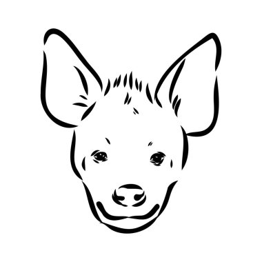 Sırtlanın grafiksel klasik çizimi, vektör illüstrasyonu