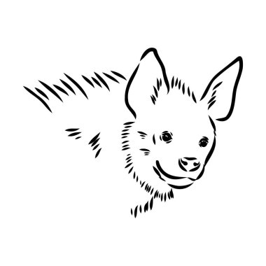 Sırtlanın grafiksel klasik çizimi, vektör illüstrasyonu