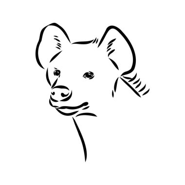 Sırtlanın grafiksel klasik çizimi, vektör illüstrasyonu