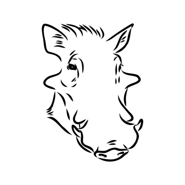 검은 색 과백 색선으로 된 혹멧돼지를 그린 그림 — 스톡 벡터