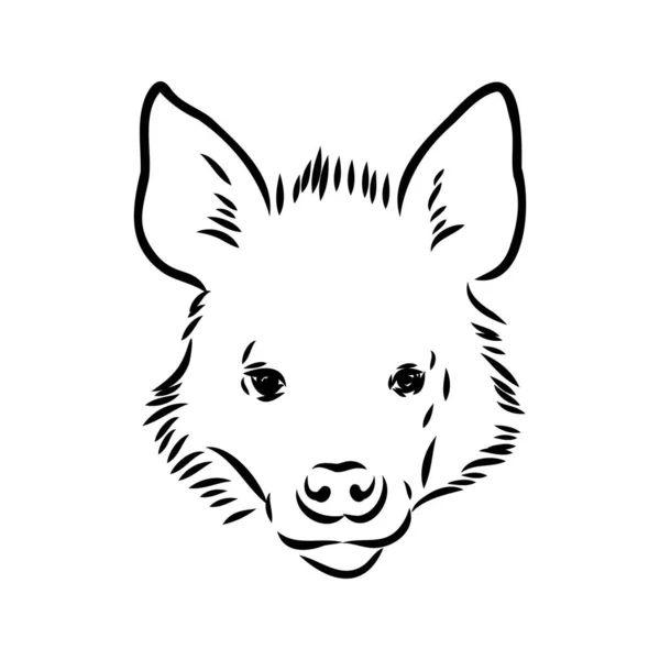 Esquisse graphique vintage d'hyène, illustration vectorielle — Image vectorielle