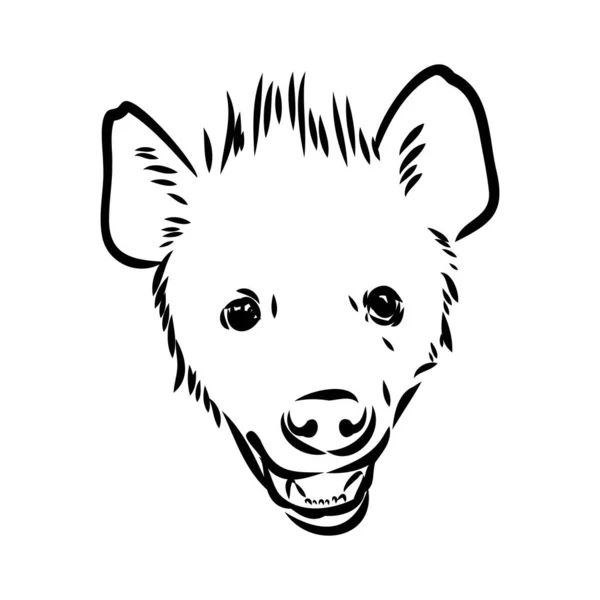 Schiță grafică de epocă a hienei, ilustrație vectorială — Vector de stoc