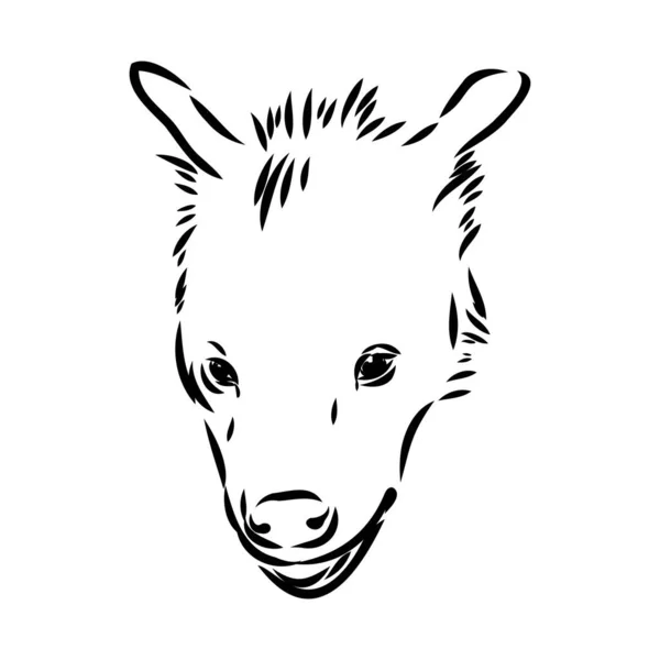 Dibujo gráfico vintage de hiena, ilustración vectorial — Vector de stock