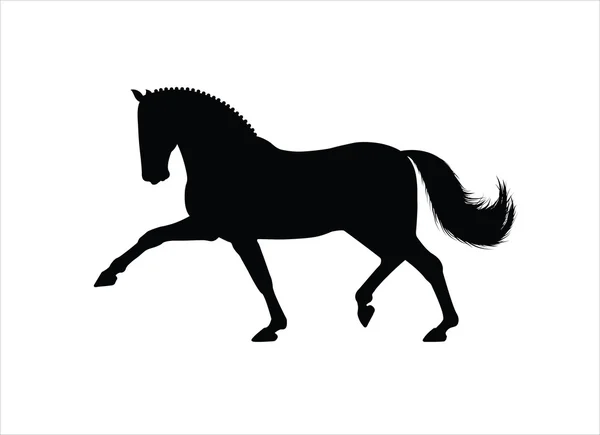 Trot de cheval — Image vectorielle