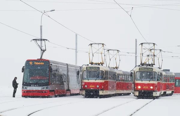 Drei Straßenbahnen in Prag bei starkem Schneefall — Stockfoto