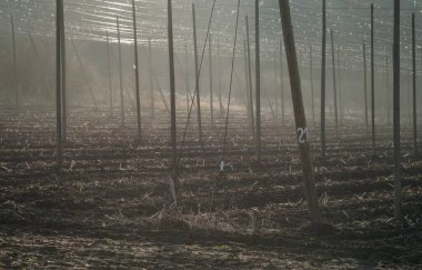 Yüksek inşaatlı sıçrama alanı