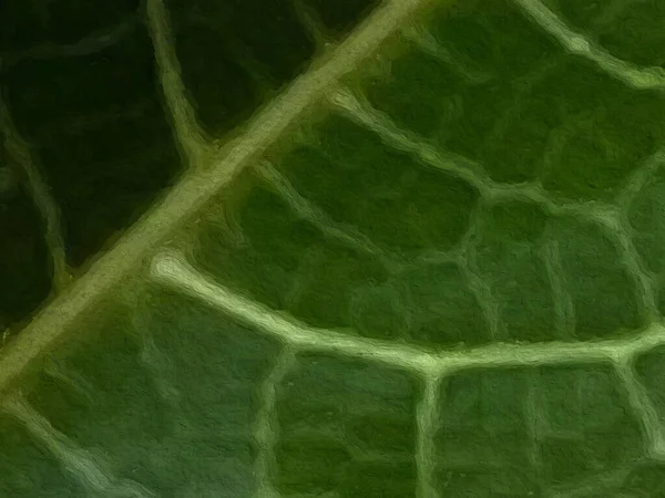 Folha Verde Padrão Abstrato Parede Textura Fundo Tem Espaço Cópia — Fotografia de Stock
