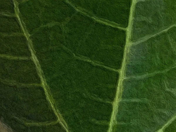 Zielony Liść Abstrakcyjny Wzór Tło Tekstury Ściany Mają Przestrzeń Kopiowania — Zdjęcie stockowe