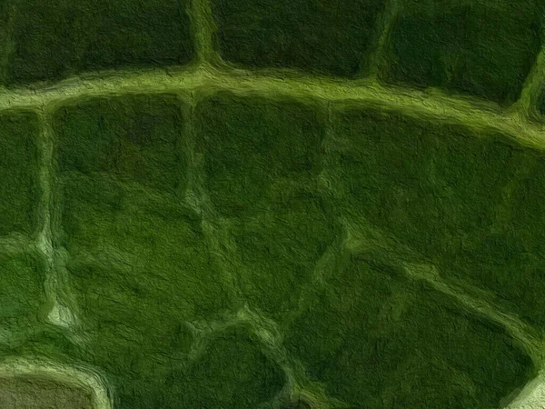 Абстрактный Рисунок Зеленого Листа Фон Текстуры Стены Имеют Пространство Копирования — стоковое фото