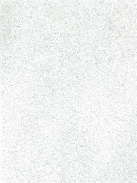 Monochrome Texture Background Image Includes Effect Black White Tones Surface — Foto Stock