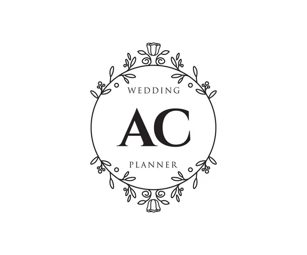 Initialen Brief Hochzeit Monogramm Logos Sammlung Handgezeichnete Moderne Minimalistische Und — Stockvektor