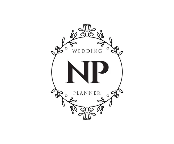 Initialen Brief Hochzeit Monogramm Logos Sammlung Handgezeichnete Moderne Minimalistische Und — Stockvektor