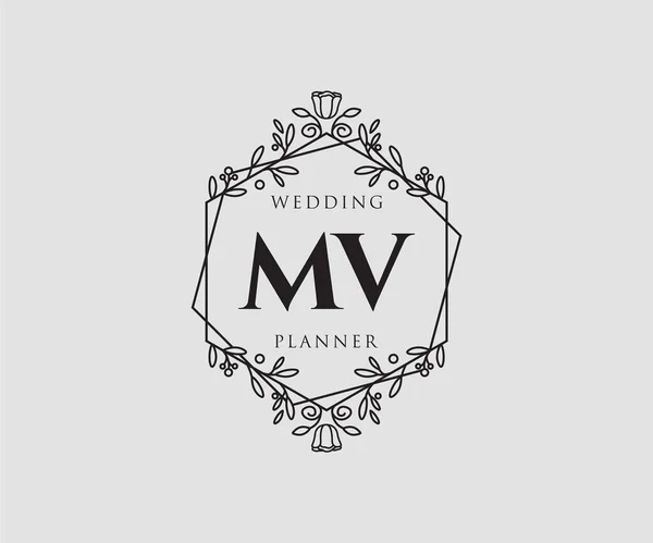 Initialen Brief Hochzeit Monogramm Logos Sammlung Handgezeichnete Moderne Minimalistische Und — Stockvektor