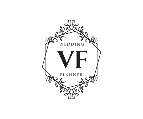 Initialen Brief Hochzeit Monogramm Logos Sammlung Handgezeichnete Moderne Minimalistische Und — Stockvektor